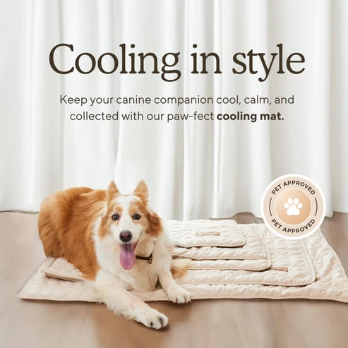 🔥Hot Sale 49% OFF - Dog Cooling Mat (4x more effective)